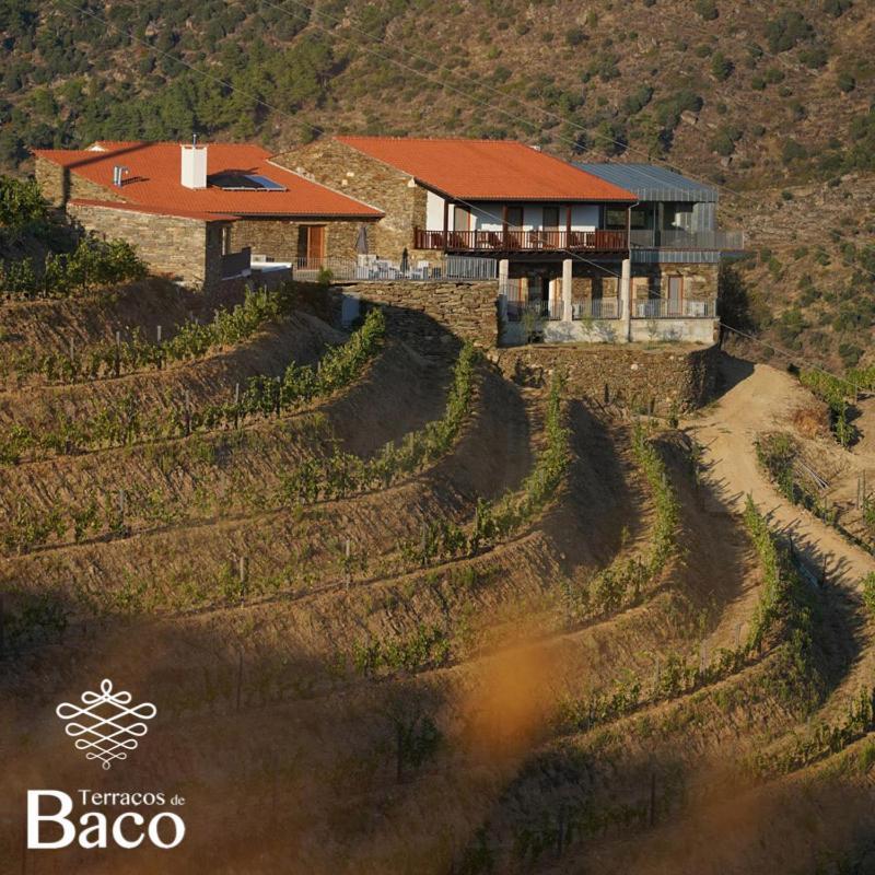 Terracos De Baco Villa Ribalonga Dış mekan fotoğraf