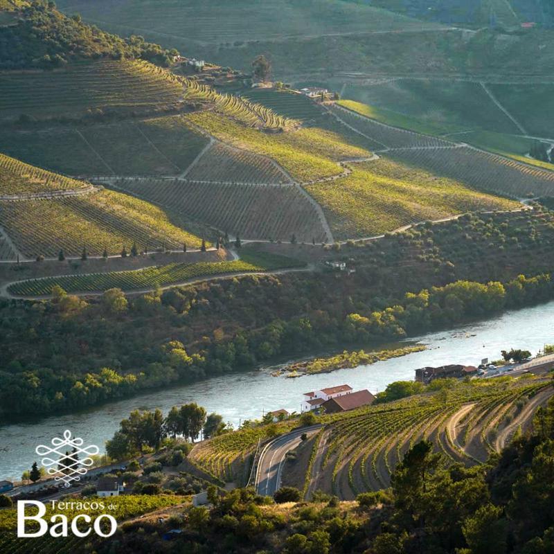 Terracos De Baco Villa Ribalonga Dış mekan fotoğraf